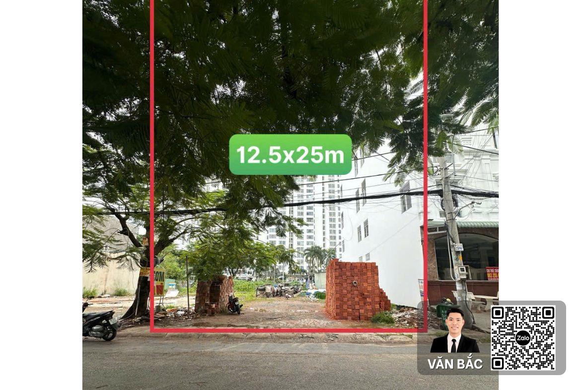 ban-dat-mat-tien-thua-760-tran-thi-lien-khu-lang-dai-hoc-dien-tich-12-5x25m-full-tho-tang-kem-300m²-san-vuon-gia-120tr-m² (2)