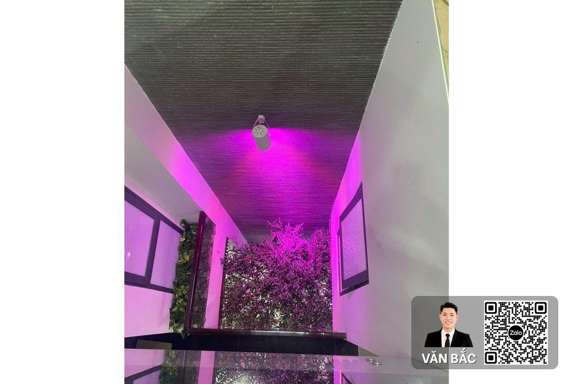 ban-nha-pho-so-58-duong-so-14-kdc-him-lam-dien-tich-100m²-ket-cau-ham-4-tang-gia-31-tỷ (7)