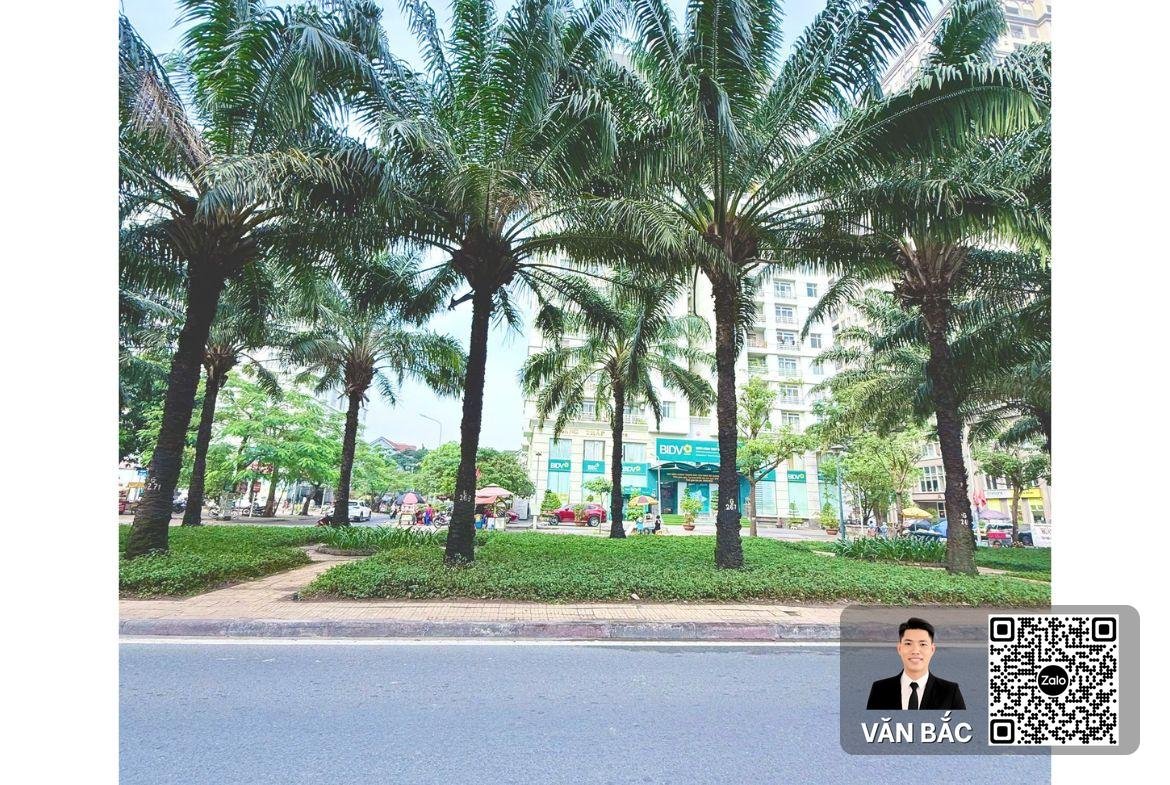 dat-mat-tien-281-283-duong-9a-kdc-trung-son-dt-98x20m-qhxd-ham-5-tang-gia-53-tỷ (5)