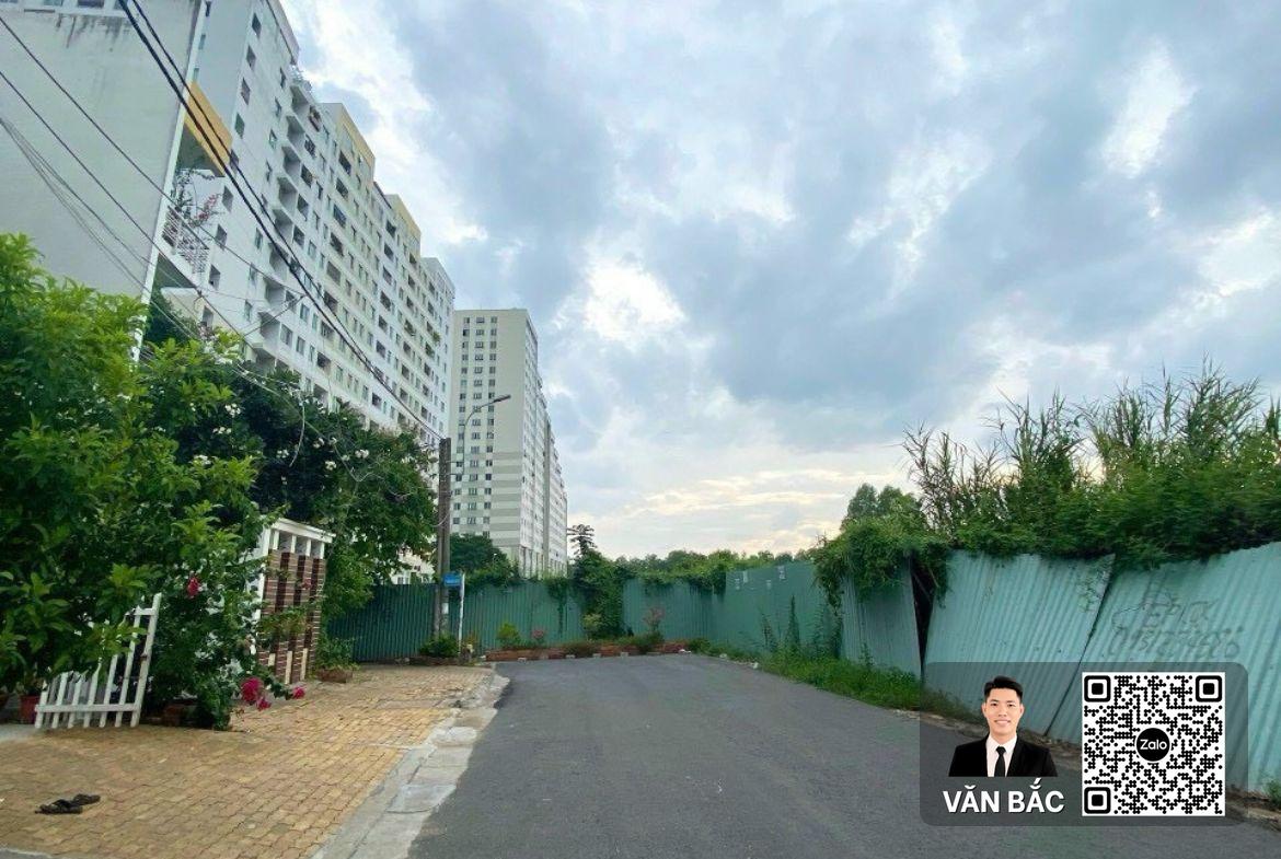 dat-vang-du-an-d19-duong-so-3-phu-mỹ-cho-lon-dt-4x23m-duong-20m-sat-vach-phu-mỹ-hung-gia-115-tỷ (4)