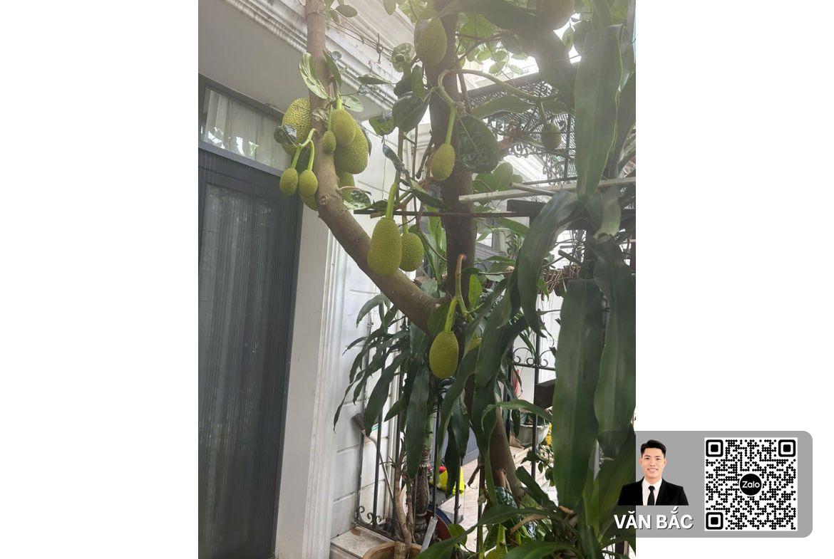 biet-thu-11-my-quang-h30-phu-my-hung-nha-moi-dang-cap-dt-105x22m-3-tang-gia-85-ty (13)