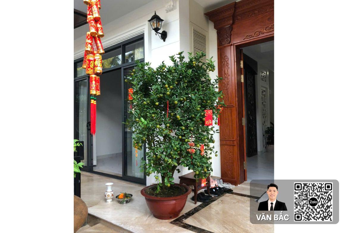 biet-thu-11-my-quang-h30-phu-my-hung-nha-moi-dang-cap-dt-105x22m-3-tang-gia-85-ty (9)