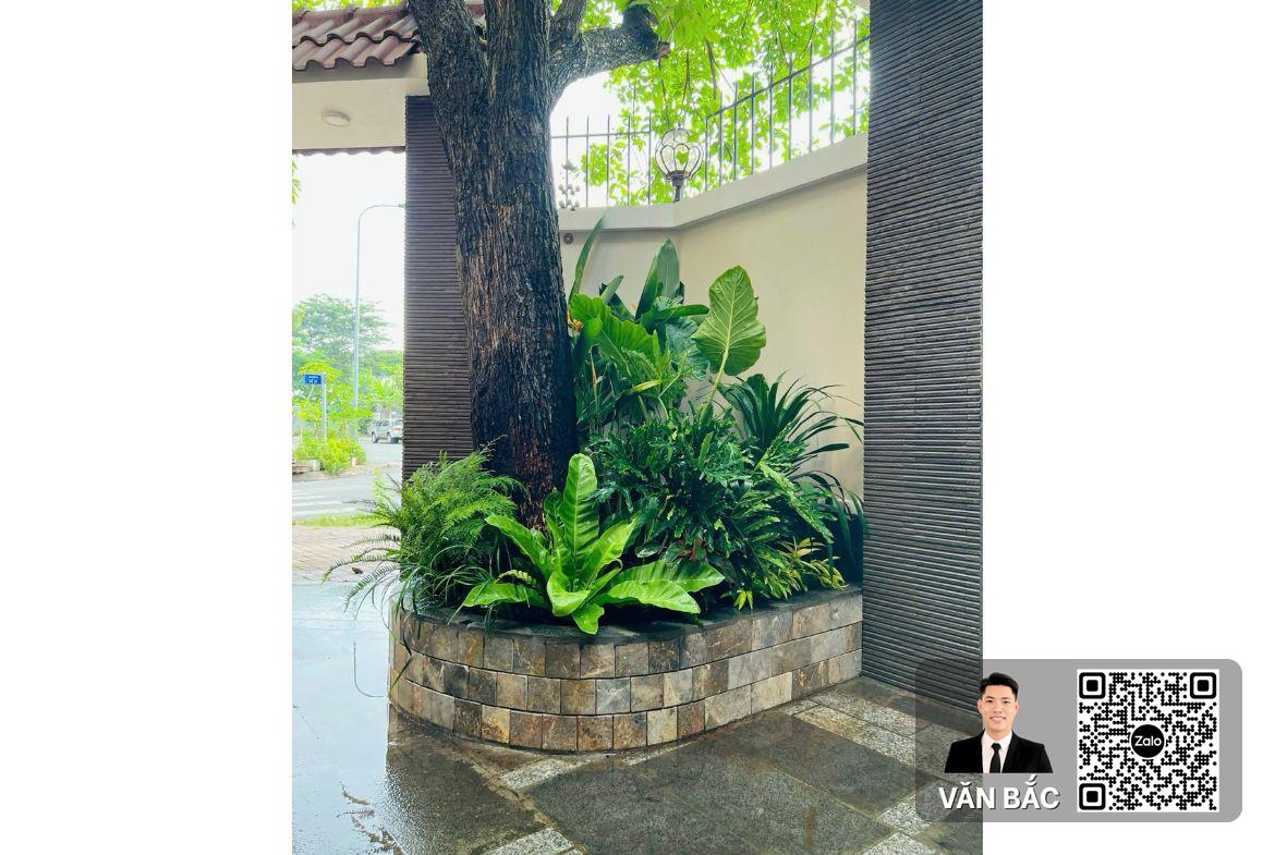 biet-thu-2-mat-tien-67-duong-15-him-lam-6a-dt-13x22m-330m²-3-lau-gia-tot-45-ty (9)