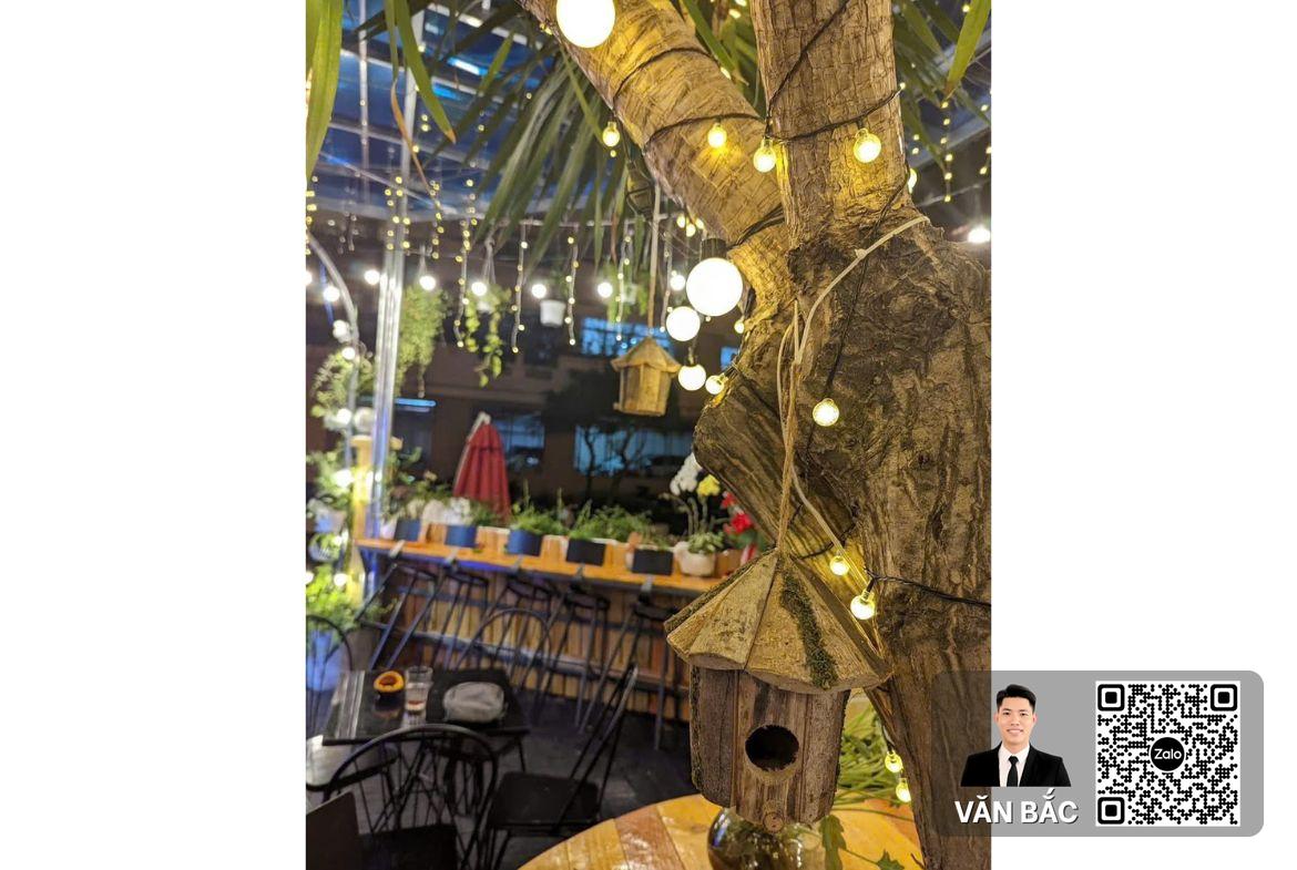 biet-thu-2-mat-tien-b1-21-mỹ-thai-2-phu-mỹ-hung-dt-9-25x18m-dong-nam-3-lau-gia-56-tỷ (3)