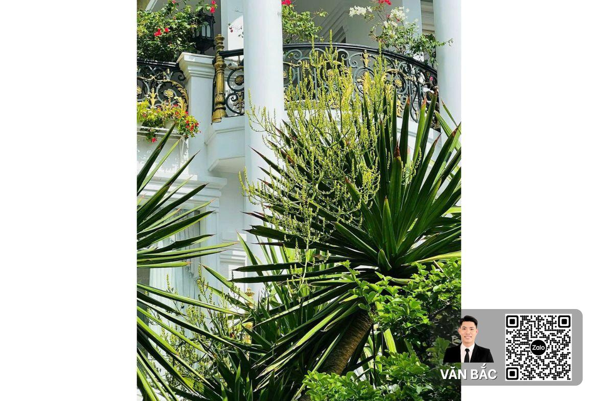 biet-thu-don-lap-8-duong-so-1-sadeco-song-ong-lon-dt-12x25m2-4-lau-huong-dong-gia-65-tỷ (11)