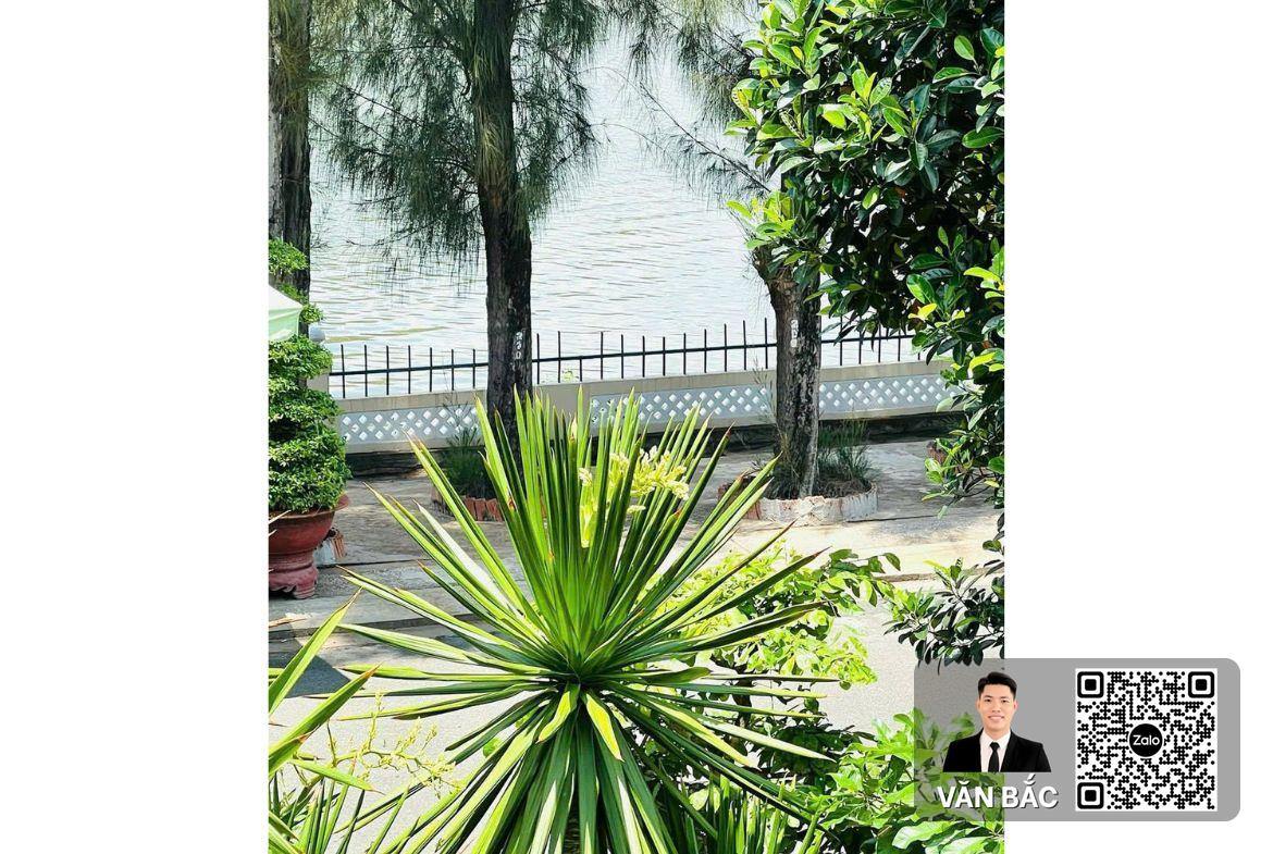 biet-thu-don-lap-8-duong-so-1-sadeco-song-ong-lon-dt-12x25m2-4-lau-huong-dong-gia-65-tỷ (3)