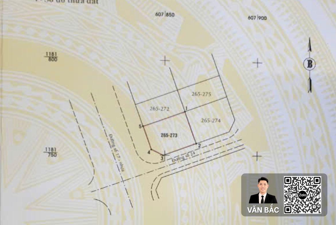 dat-2-mat-tien-biet-thu-c5-12-duong-17-24m-van-hung-phu-nha-be-dt-18x24m-gia-27-tỷ (3)