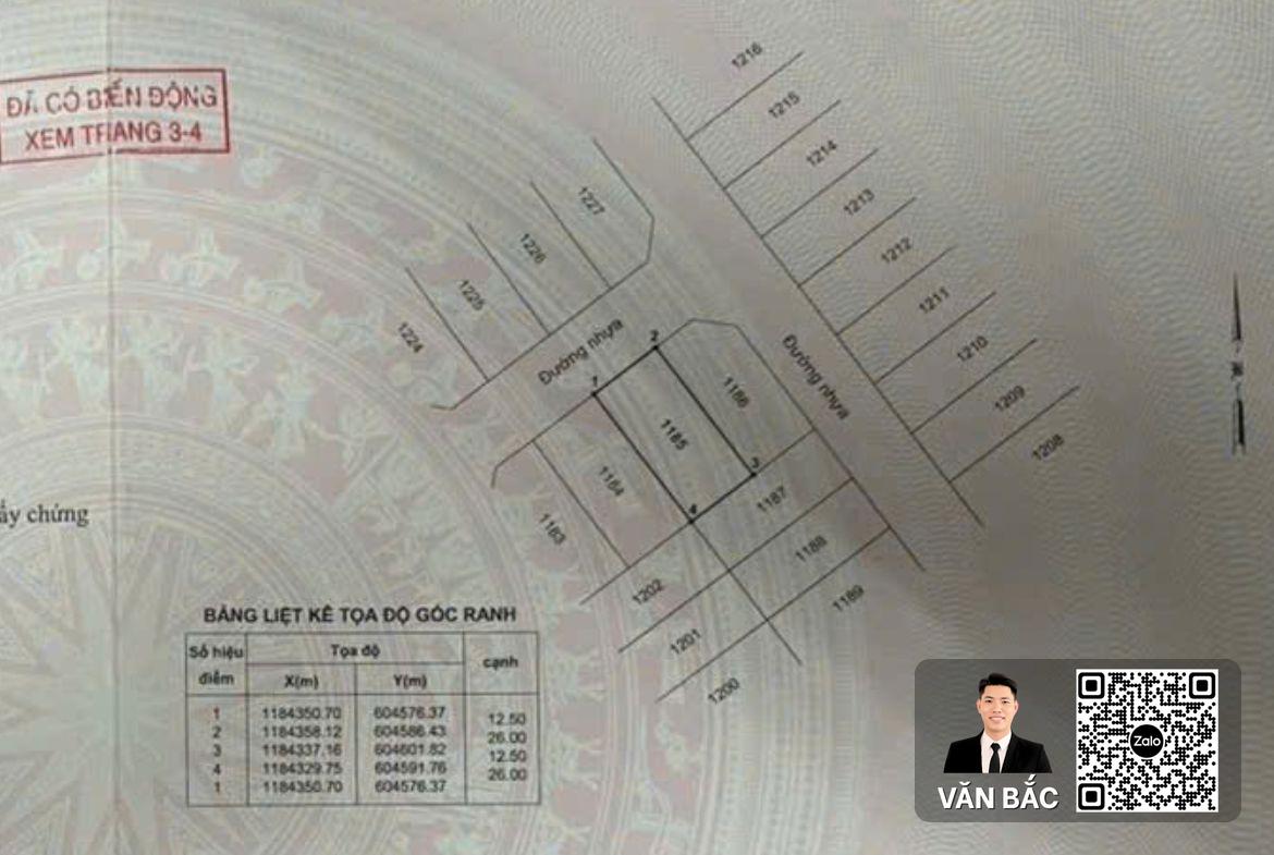 dat-biet-thu-kdc-thai-son-nha-be-nen-o3-dt-12-5x25m-so-hong-rieng-gia-66-trieu-m2 (2)