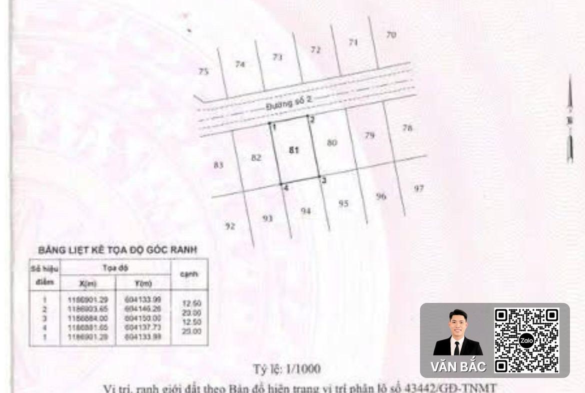 dat-biet-thu-sadeco-vivo-tan-phong-quan-7-giap-phu-mỹ-hung-dt-12-5x20m-gpxd-ham-4-lau-gia-30-tỷ (5)