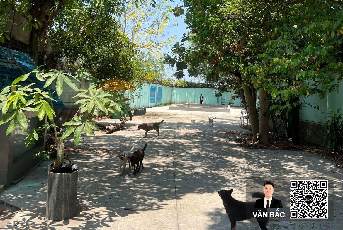 dat-lon-mat-tien-2727-huynh-tan-phat-dien-tich-10-5x55m-no-30m-cn-1-166m²-gia-120-tỷ-thuong-luong-manh (7)