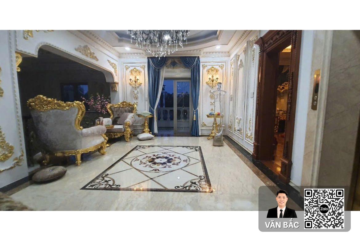 sieu-biet-thu-don-lap-35-duong-so-1a-kdc-dai-phuc-green-villas-dt-15x20m-ham-tret-2-lau-thang-may-shr-gia-45-tỷ (10)