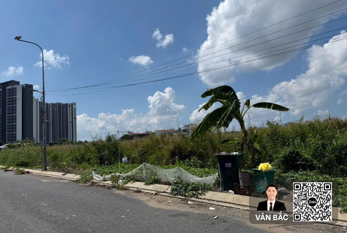 dat-biet-thu-kdc-thai-son-1-nha-be-dien-tich-10x25m-250m²-duong-rong-12m-ha-tang-chinh-chu-gia-157-tỷ-63-trieu-m² (1)