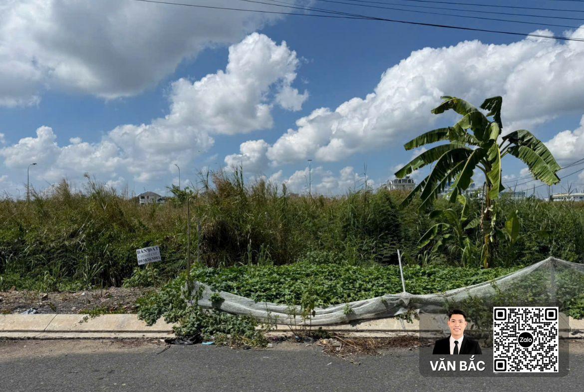 dat-biet-thu-kdc-thai-son-1-nha-be-dien-tich-10x25m-250m²-duong-rong-12m-ha-tang-chinh-chu-gia-157-tỷ-63-trieu-m² (2)