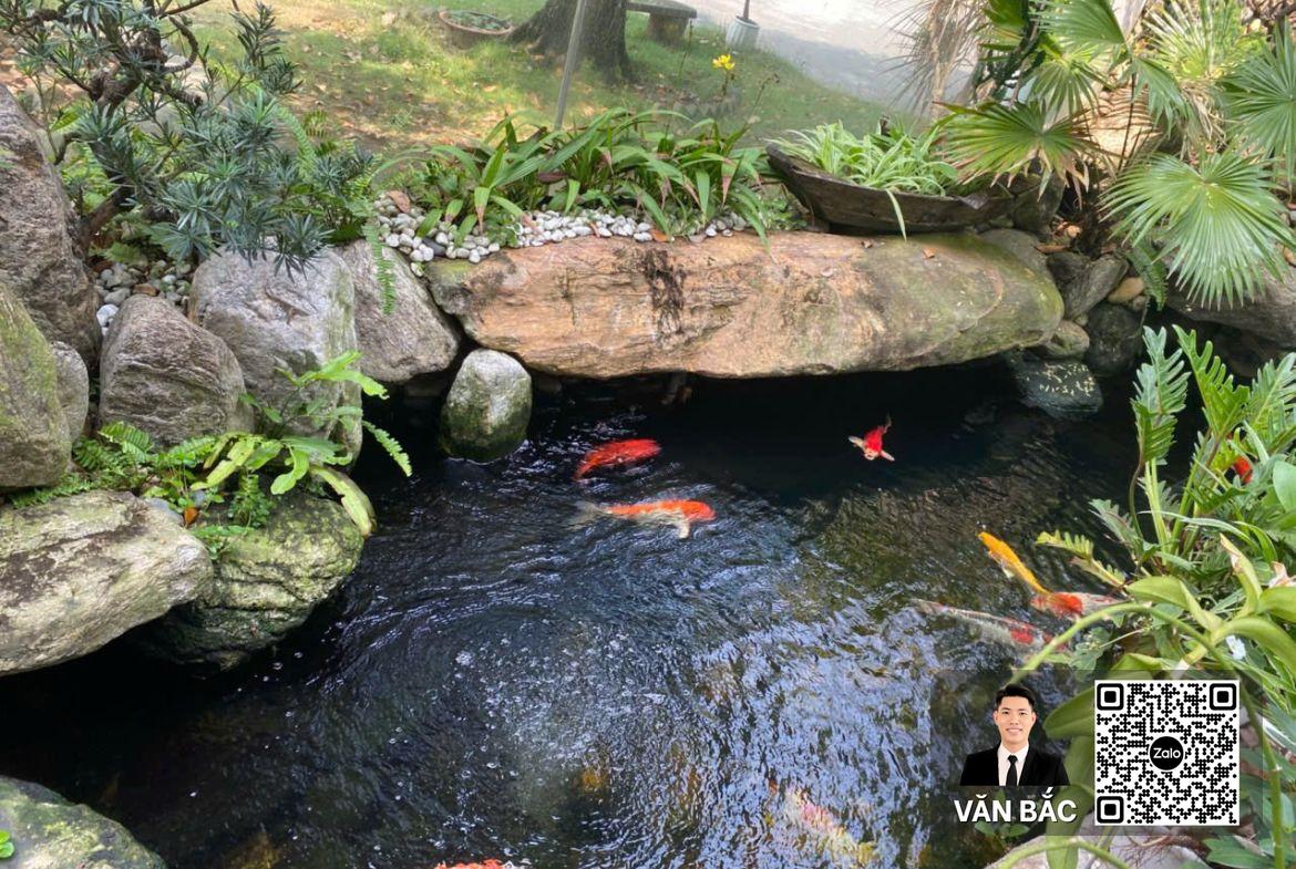 dinh-thu-goc-cong-vien-biet-thu-nam-do-phu-mỹ-hung-quan-7-dien-tich-18x23m-414m²-tret-2-lau-gia-160-tỷ (12)