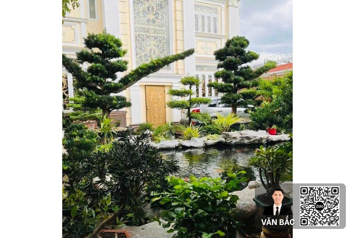 villa-vuon-nghi-duong-quan-2-giam-manh-4-tỷ-dt-652m²-tho-cu-100-ho-ca-koi-dong-nam-gia-39-tỷ-61tr-m² (2)